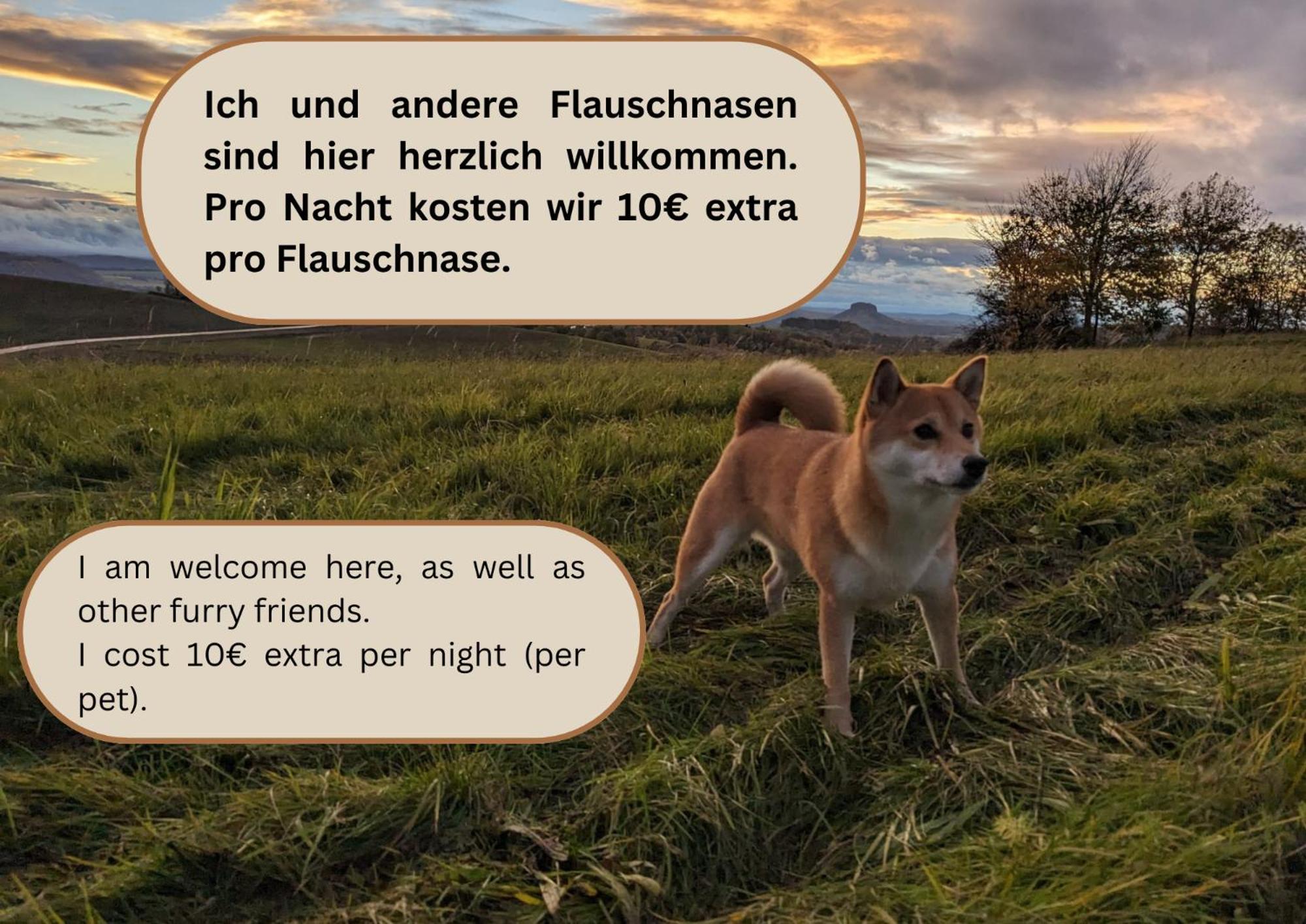 W2 - Urlaubsmagie - Im Herzen Des Elbsandsteingebirges 세브니츠 외부 사진